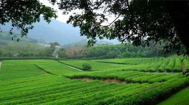 广东省内自然风光旅游景点,广东自然风光最好的景点