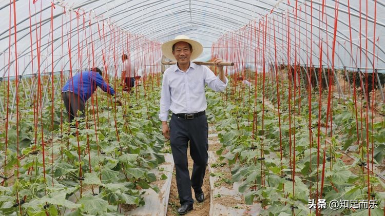 温暖2019！随州何店镇这些“草根”的事迹感动全城......