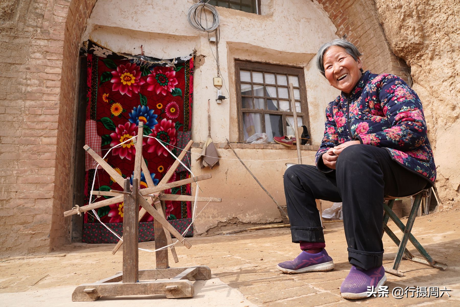 山西8旬大爷把母猪当宠物养,1窝小猪卖14600元,无本生意