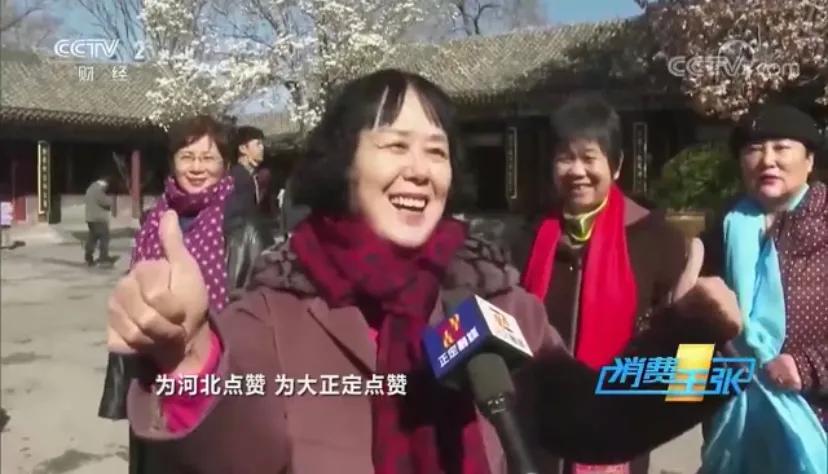 石家庄新规划大项目,石家庄中心城区最新项目