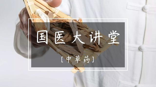 「国医大讲堂」甜蜜的中药，蜂蜜