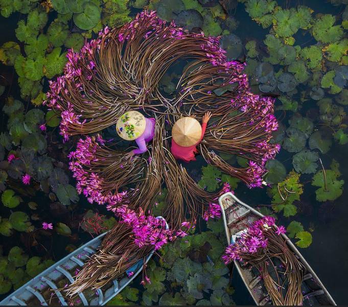 50张照片每一张都让人赞叹不已,50张让人叹为观止的照片