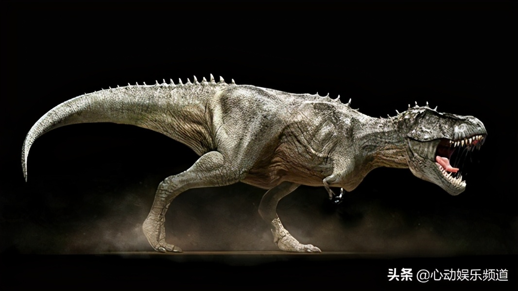 幼崽霸王龙有多大,霸王龙犬有多大