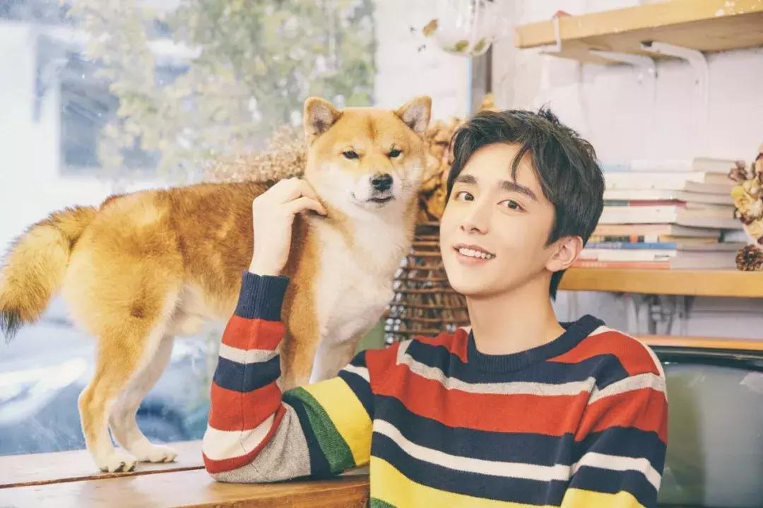 少年正青春|超新星