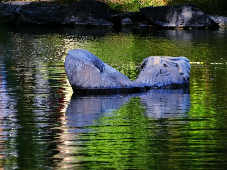 漫步北大校园,北大印象图片