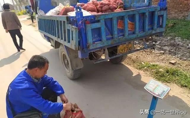 新时代，打工不再是农民的唯一，农村媳妇足不出户1年20万