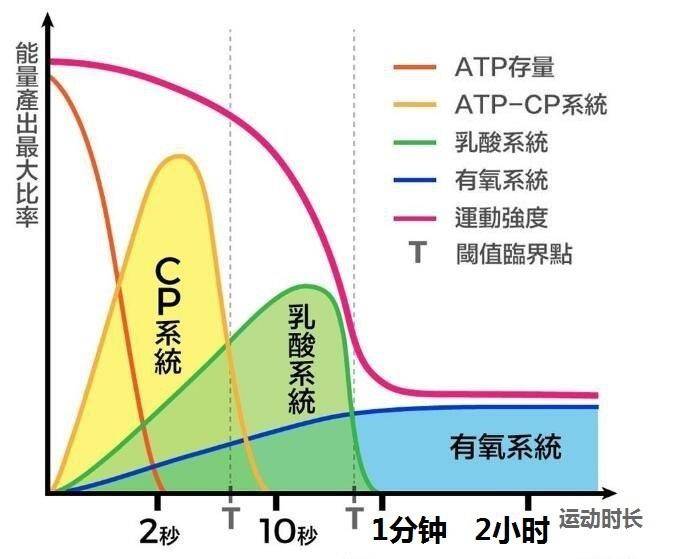 每天打球一小时能瘦肚子吗,每天打球两小时有进步吗