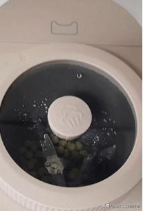 怎样更好的利用豆浆机,最实用易操作的豆浆机