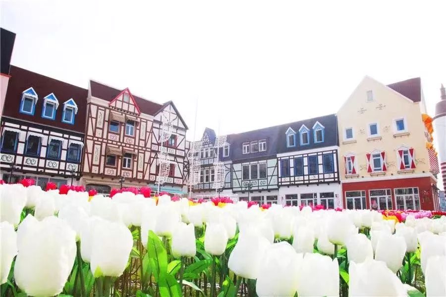 去哪里能买到心仪的进口产品？来平湖感受“买全球”