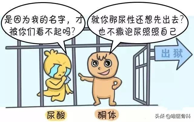 什么是痛风以及痛风的症状有哪些,痛风是由什么引起的怎样防痛风