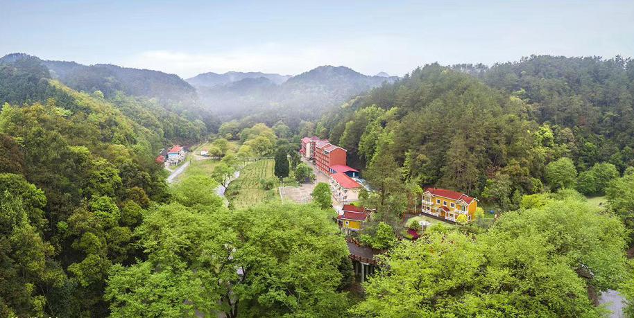 中国绿都最氧三明,中国最氧三明花海