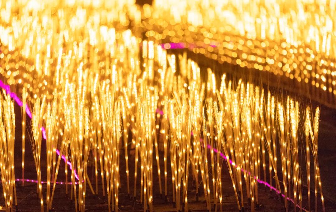 穿汉服赏花灯猜灯谜,苏州周庄古镇汉服