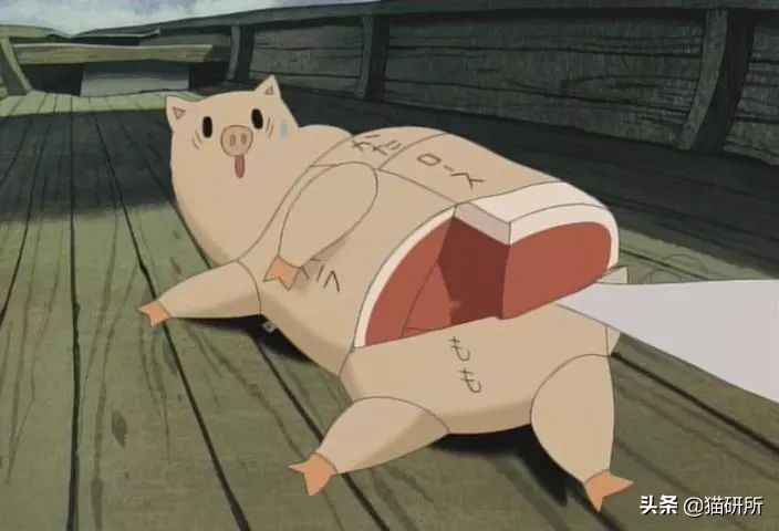 猫咪可以吃猪肉猫粮吗,养猫的你要知道猫咪不能只吃干粮