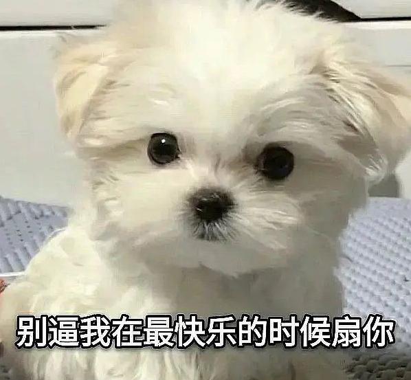 刘浩存父母致瘫女孩错过治疗,7岁小女孩终身瘫痪