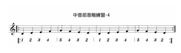 国光口琴教学入门,十孔口琴入门教程视频