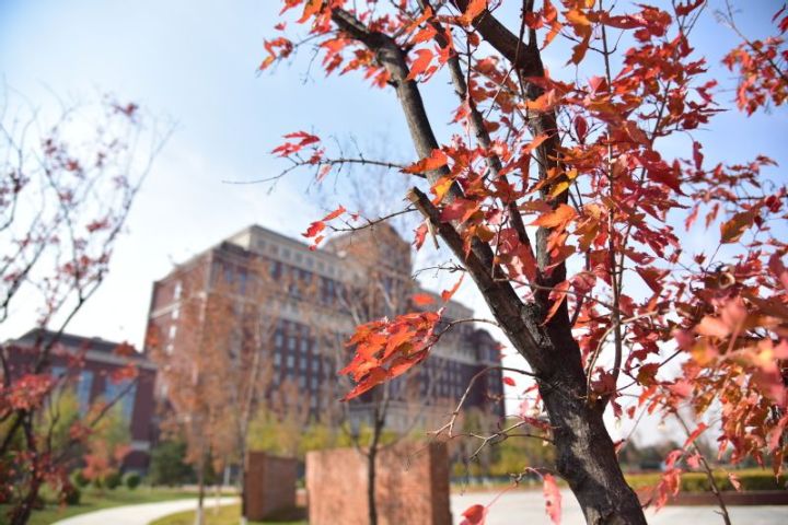 长春工业大学吉林省录取分数线,吉林长春工业大学几本