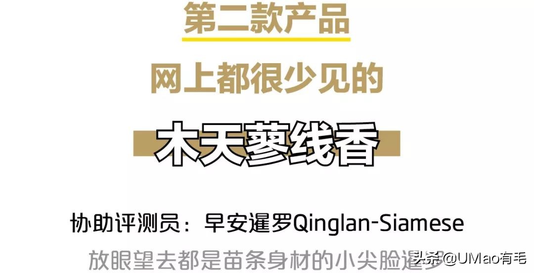 我们败了两款新型“猫*品毒**”孝敬主子，你猜哪种比较受猫欢迎？