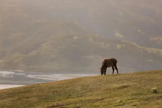 双节星空摄影作品欣赏,一组美丽的星空摄影作品