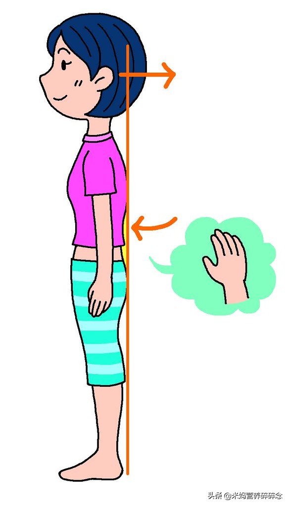 小腹突出骨盆前倾怎么锻炼,小腹挺起的动作