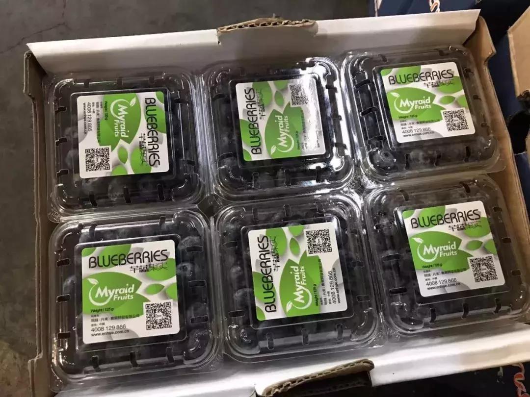 进口的水果有哪些,进口水果价格高的解决办法