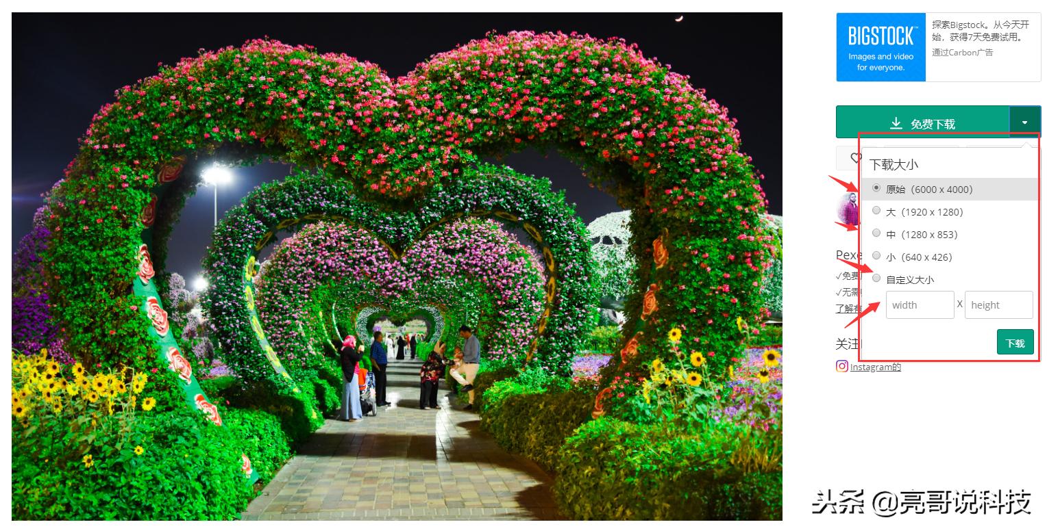 免费精美图片的网站,免费没版权的图片去哪找