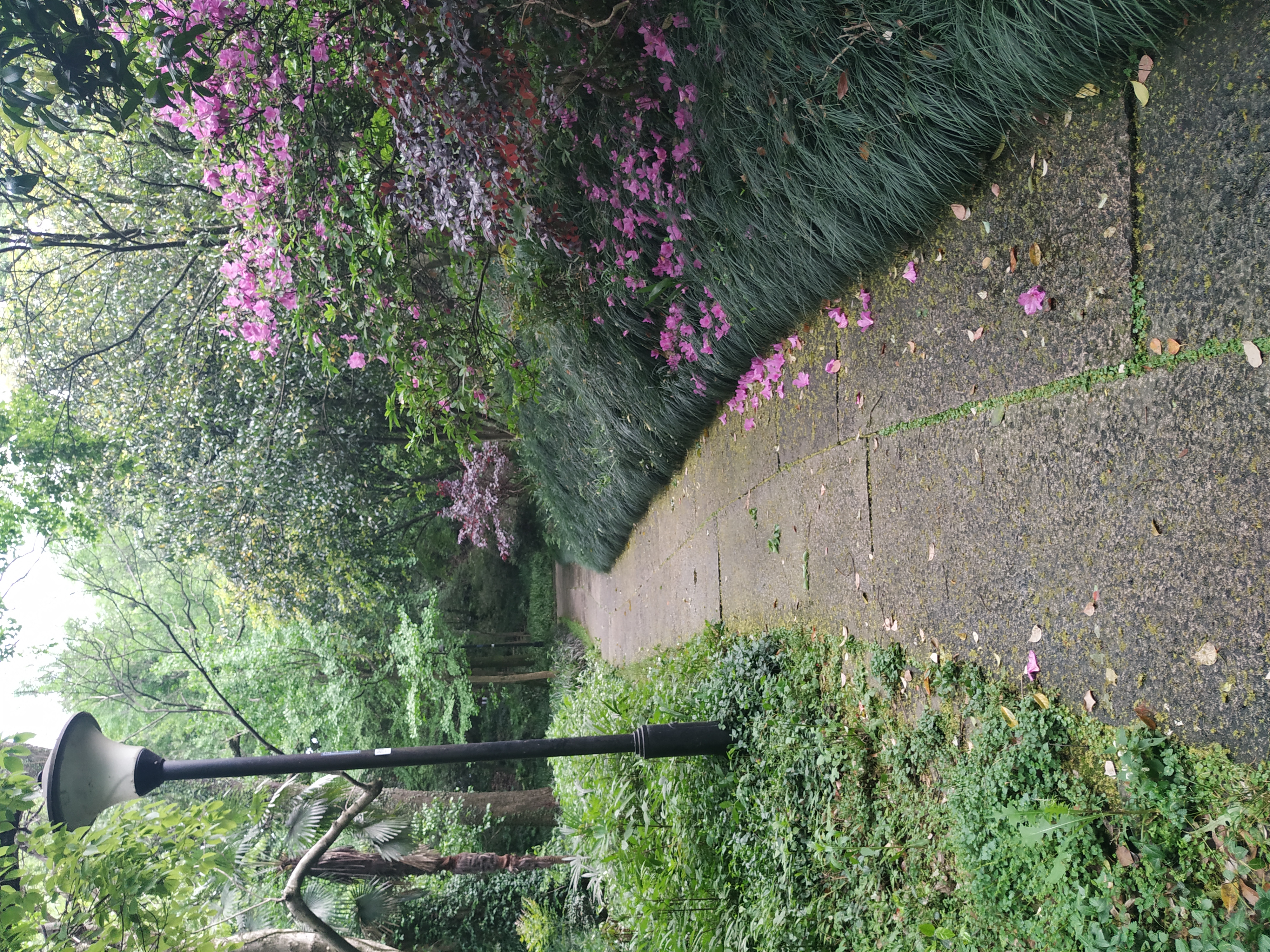 一个旅居者眼中的杭州:似水流年捕捉那四时光阴,美是记得