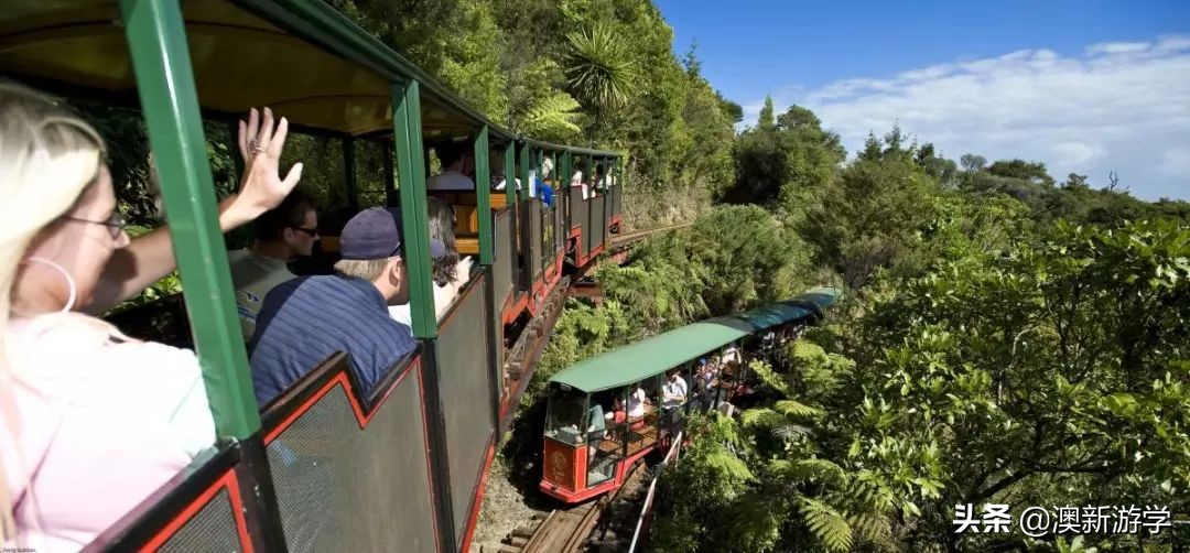 新西兰旅游景点北岛图片大全,新西兰北岛旅游游玩攻略