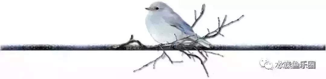 国产黄粉真假辨别方法,国产黄粉和进口黄粉区别