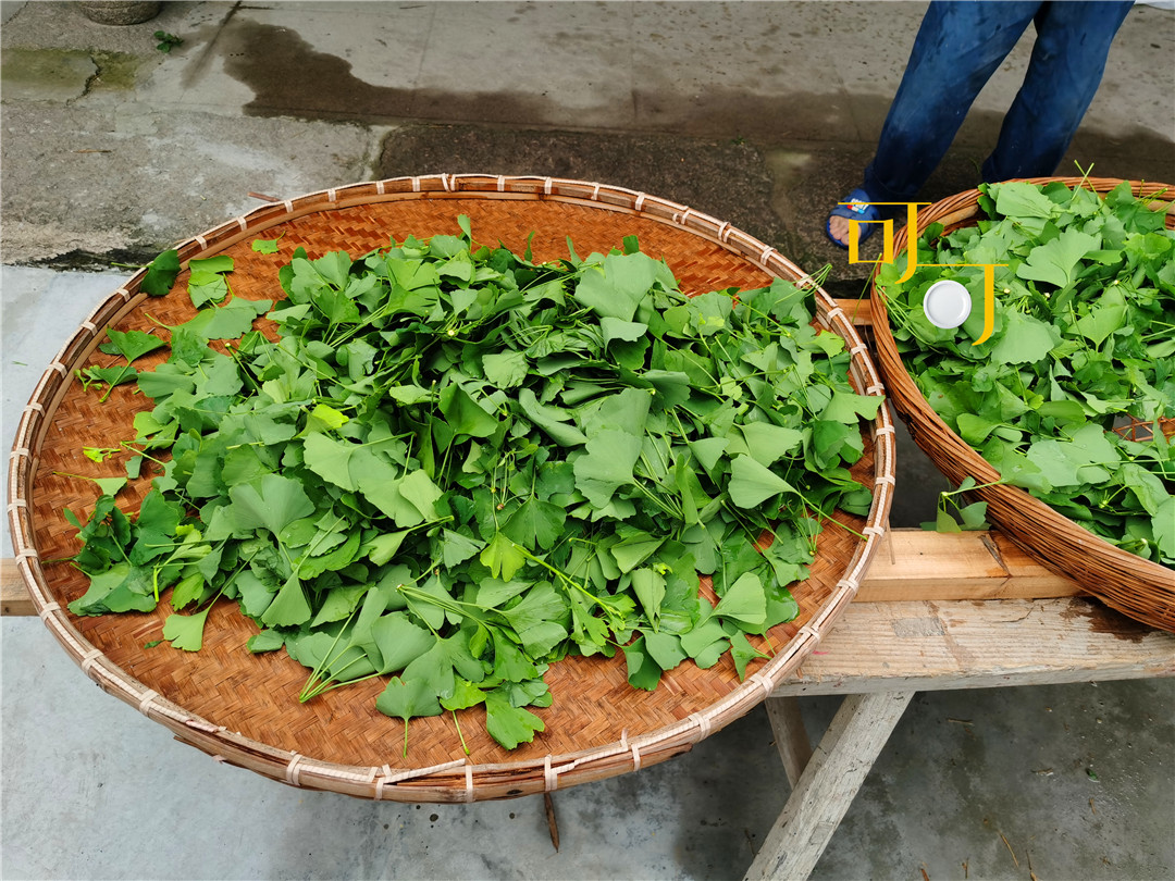 东钱湖湖畔人家农家乐,东钱湖下午茶和农家菜