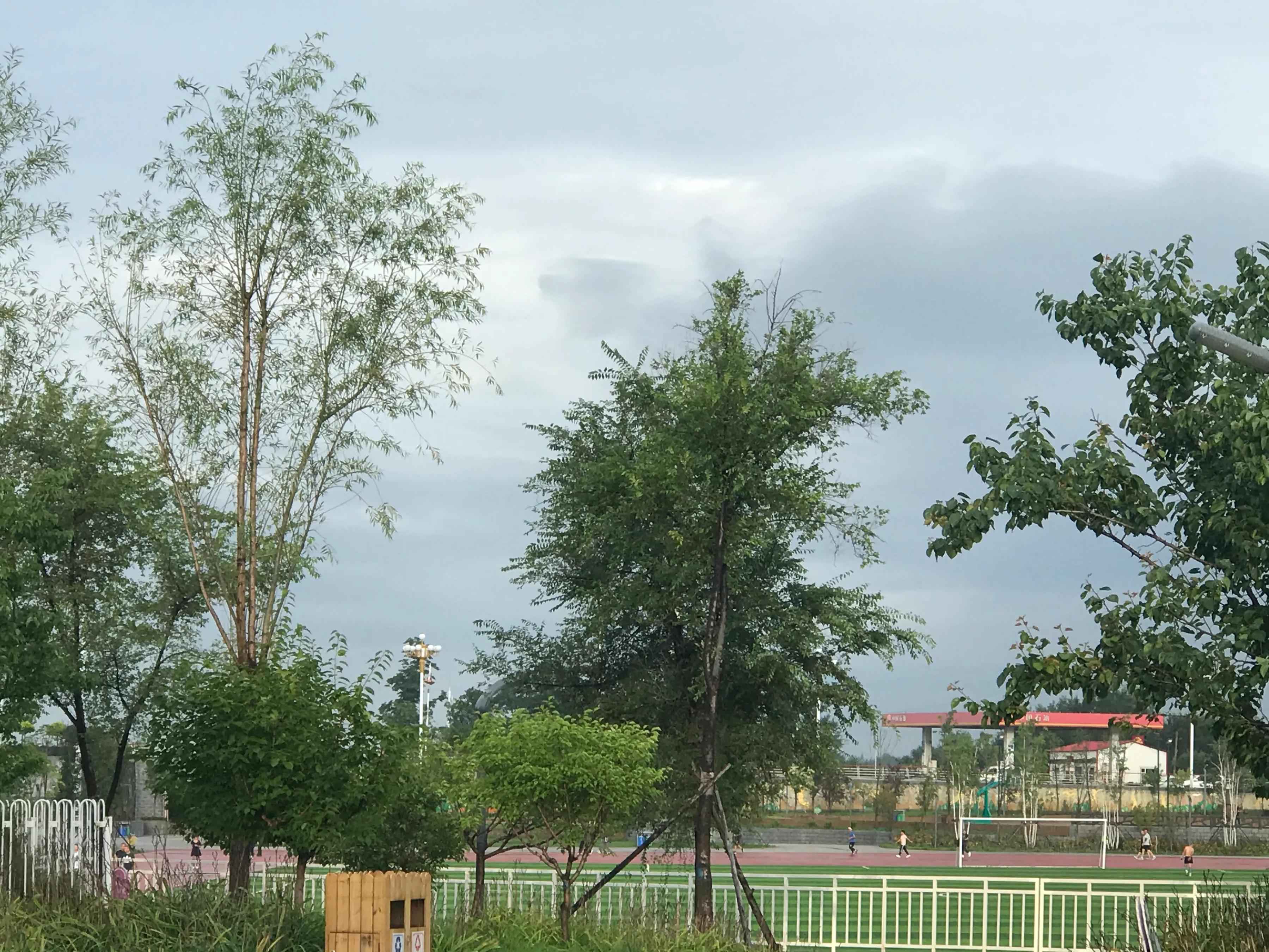 辉南街早市开了吗,辉南朝阳镇早市开门营业时间