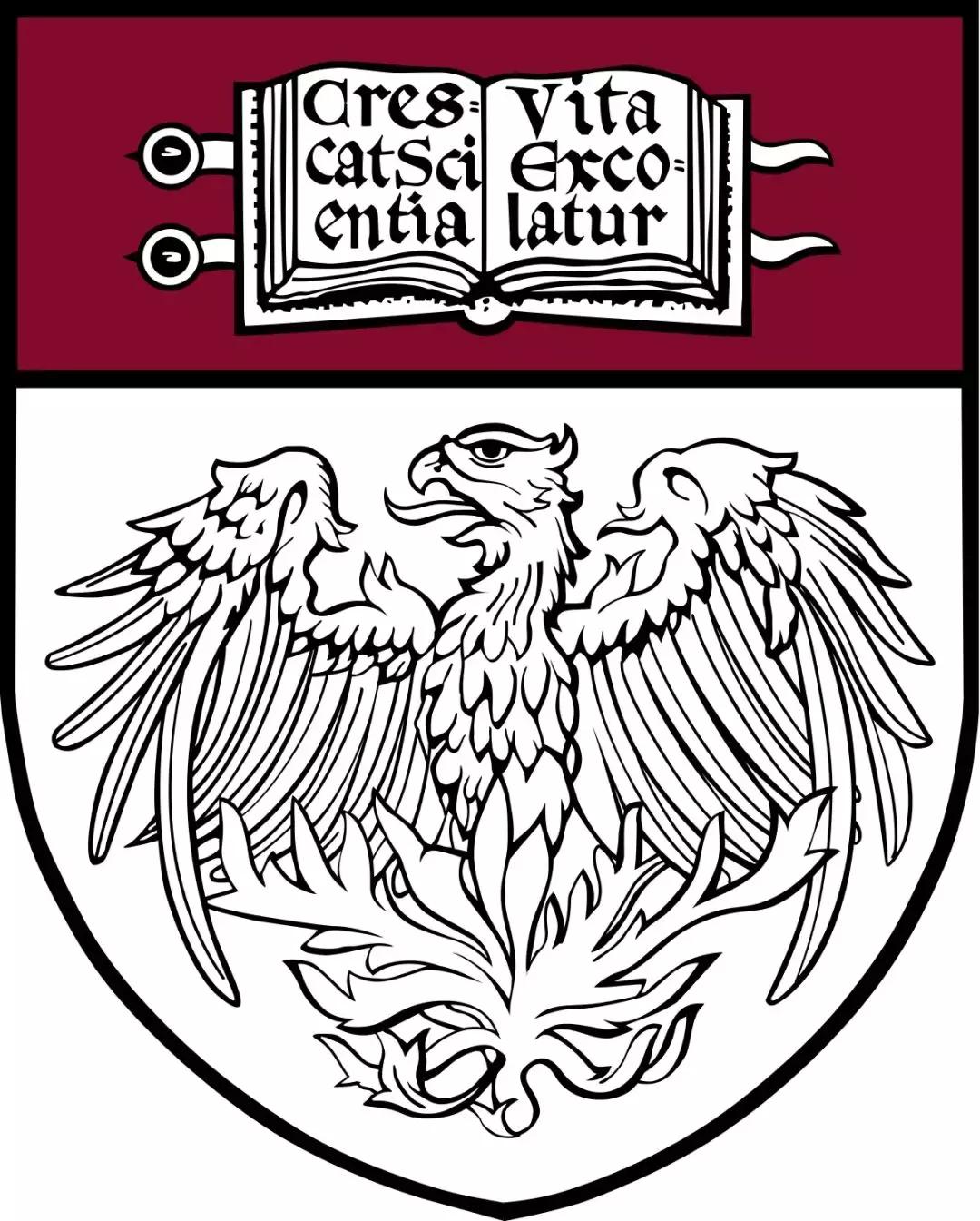 美本选课的技巧和方法,美本选课技巧大全