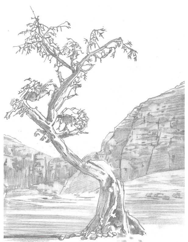 初学者画山石的方法,山水画入门基础画法