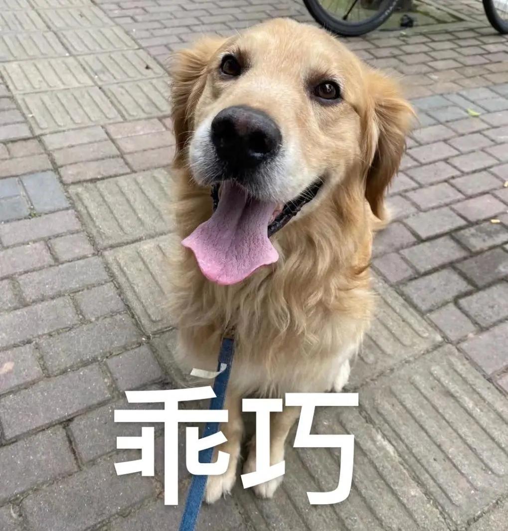 免费坐高铁在哪里报名,办理免费坐高铁