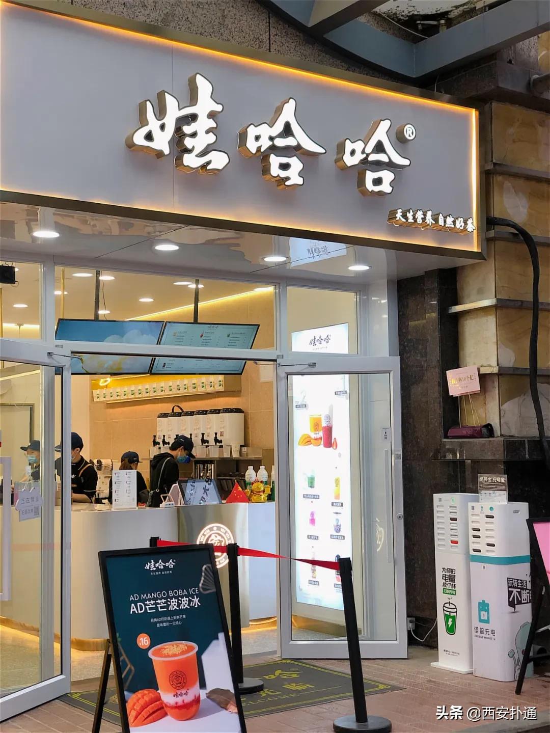 娃哈哈在西安开奶茶店,娃哈哈奶茶店西安
