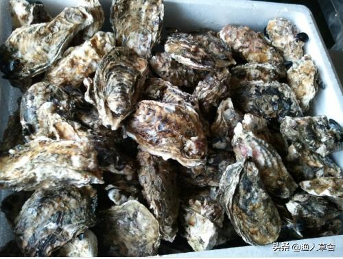 大连特色农产品有哪些,辽宁省农产品地理标志产品都有啥