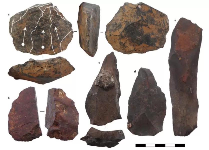 人类的行为是否具有地区性,人类早期迷惑行为