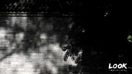 这就是牛完整视频,北京市牛街