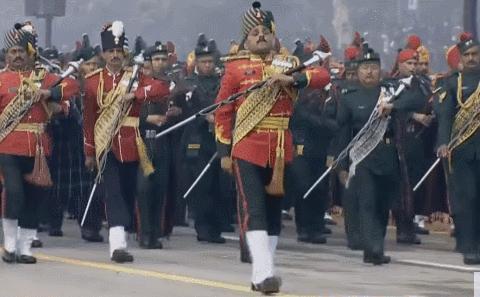 印度巨型根菜,印度根菜