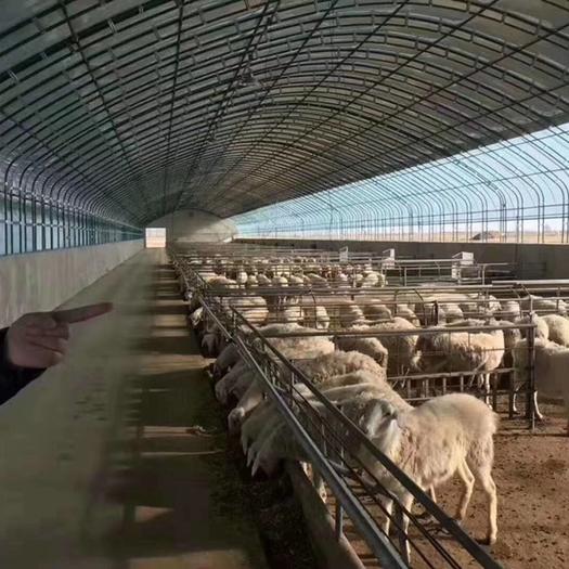 养殖棚建造费用明细,养殖棚建设报价