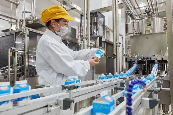 今时今日，连燕塘牛奶也有「小蛮腰」了？