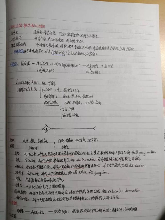 大连医科大学学霸,大连医科大学备考