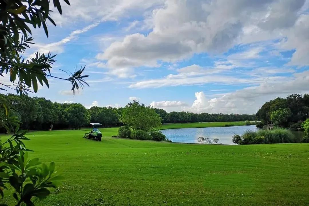 宅家50天我想明白了3件事,宅家40天提高家庭幸福感