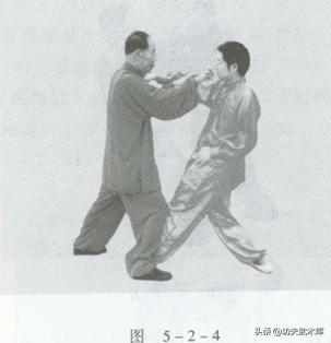 功夫招式大全视频教程,实用拳法二路炮捶