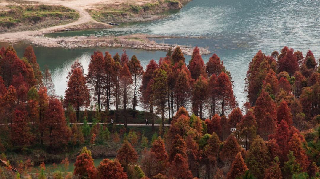 宁波最隐藏的海岛,被浙江人私藏的江南小城