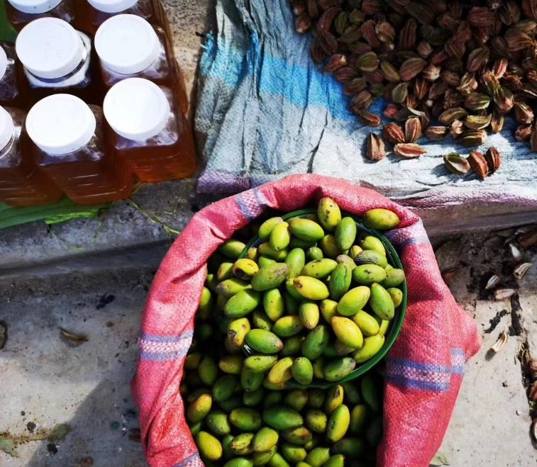 云南哪个少数民族以黑胖为美,云南少数民族充满野性的美