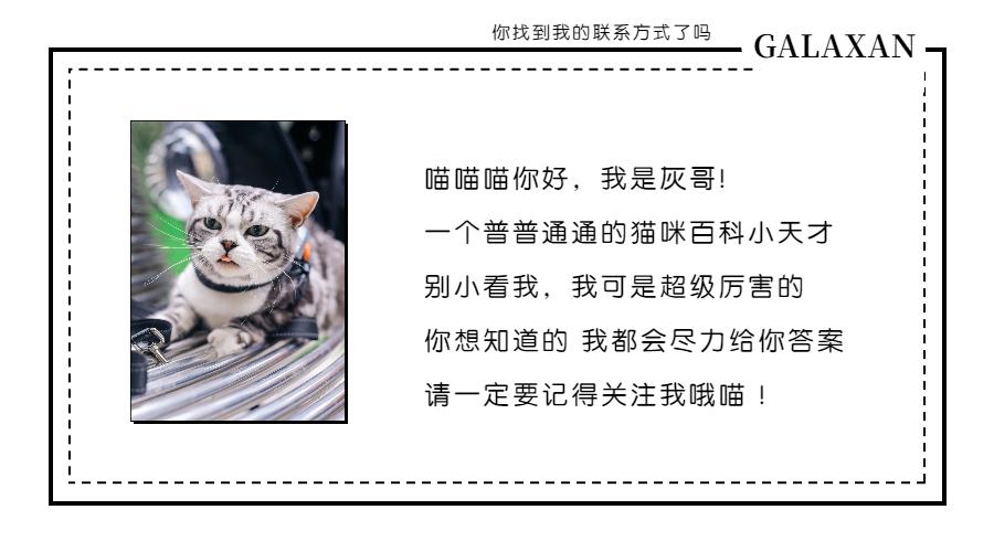 哪个才是猫咪的正确叫声,科普猫咪的不同叫声