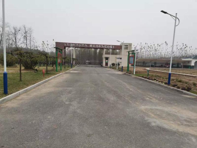 沛县冯集小学新闻,沛县鹿楼镇冯集小学