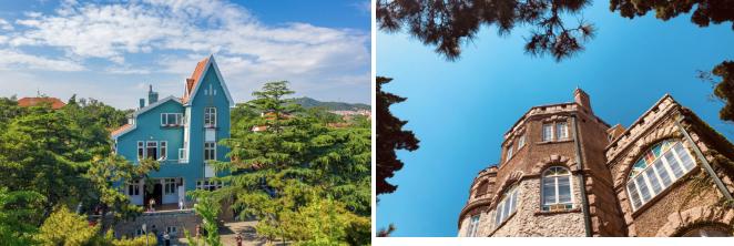 均温20℃的海滨老城，紫色泡桐花美得像国外，现在去性价比超高