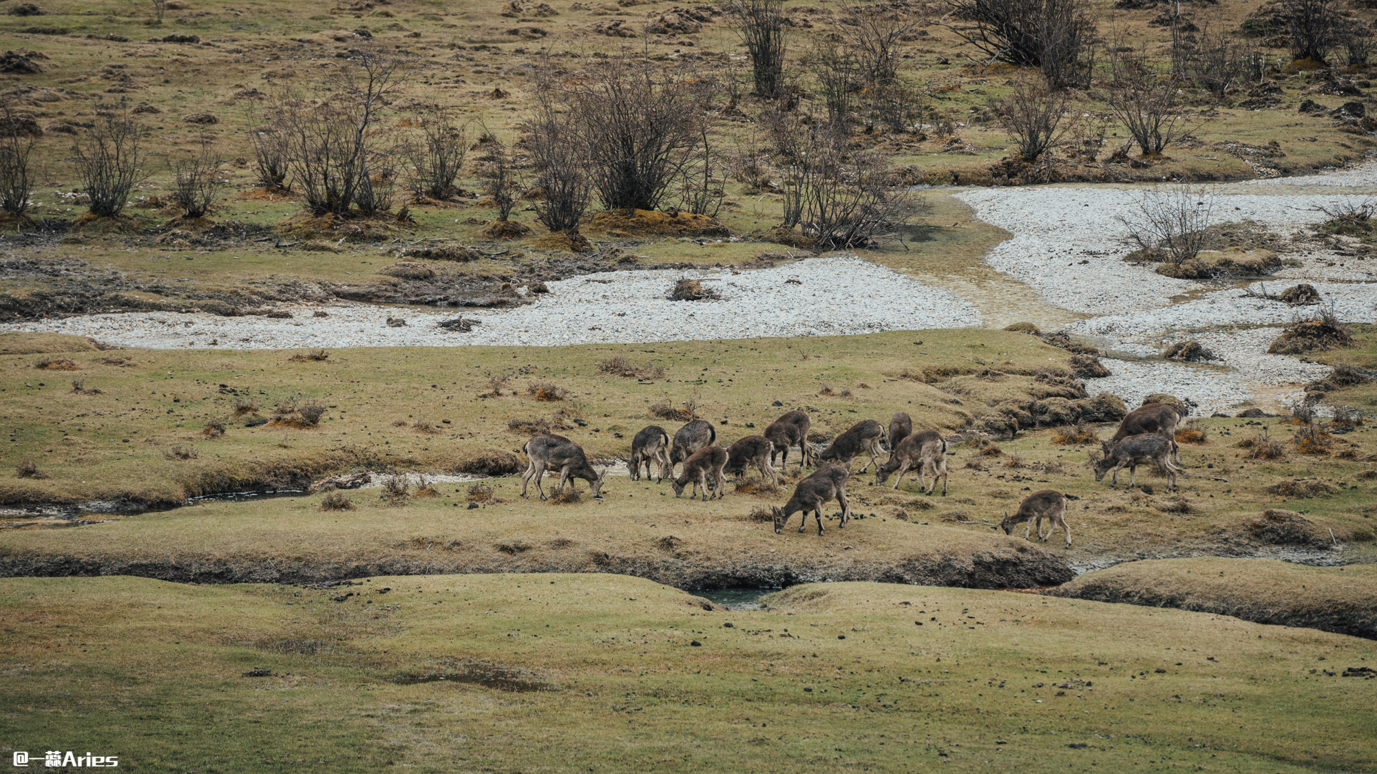 稻城亚丁8月自驾游攻略8天,稻城亚丁7月份雨季