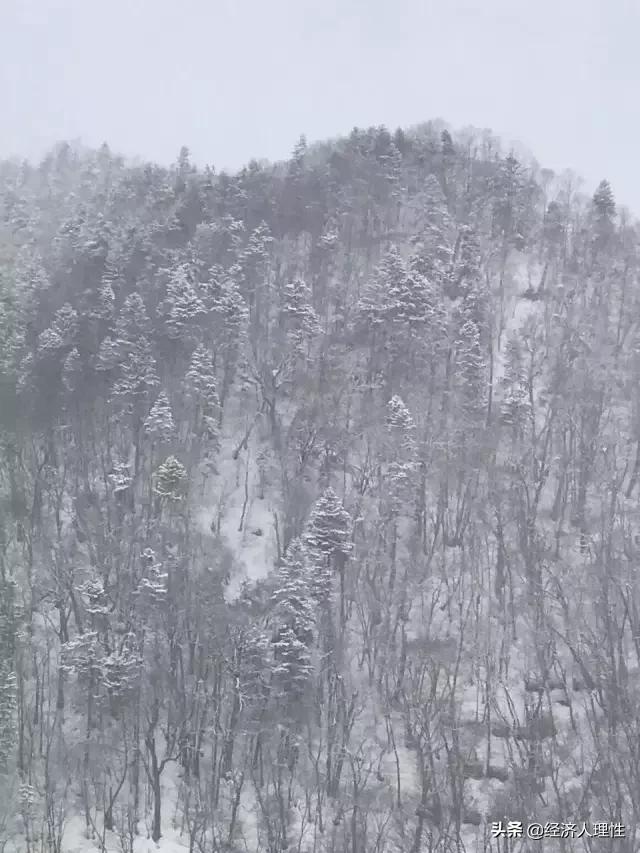 一位旅日游客，4天时间，万字长文，记录思考日本社会的崛起背后